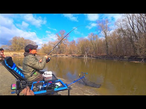 Видео: З ПІД КОРЧА РИБА КЛЮЄ ДУПЛЕТАМИ . Рибалка на фідер у березні