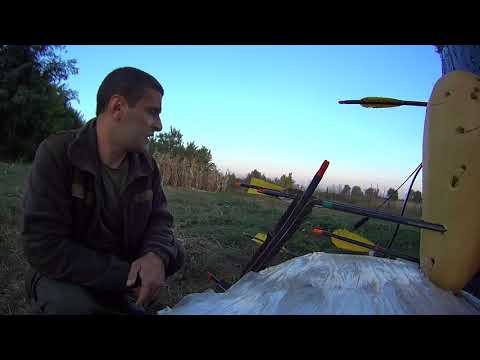 Видео: Про мощные луки. Почему нельзя начинать стрельбу из луков с большой силой натяжения.