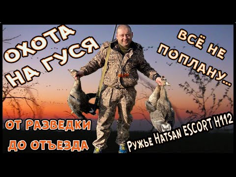 Видео: Охота на гуся. От разведки до отъезда. Как проходит весенняя охота.