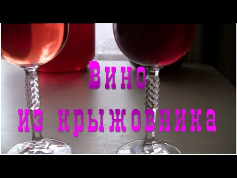 Видео: Как приготовить вино из крыжовника ?