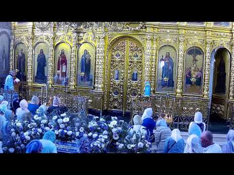 Видео: 28.08.2024.Часы.Ранняя Литургия. Успение Пресвятой Богородицы.