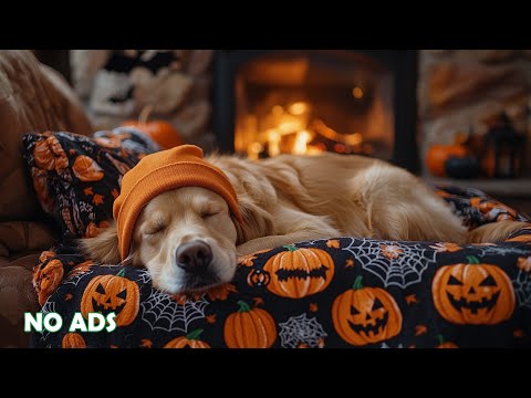 Видео: Успокаивающая музыка для собак 🐶🎃 Антистресс и звуки для сна 👻 Исцеляющий отдых 💤