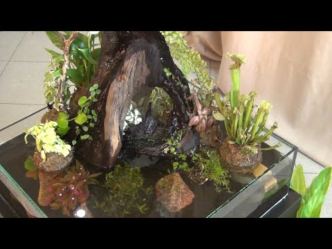 Видео: Инсулариум  Запуск