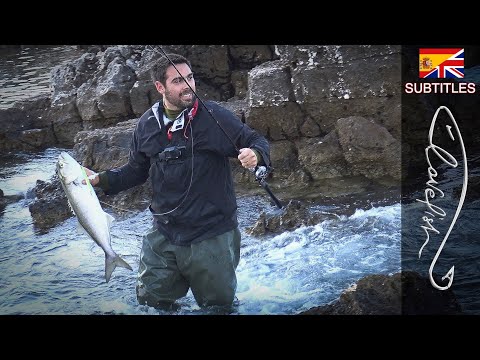 Видео: Запоминающийся день рыбалки! Много хищной рыбы!