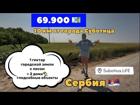 Видео: Сербия | 1 гектар леса в собственность + 2 домика | Суботица недвижимость в Сербии | Сербия Суботица