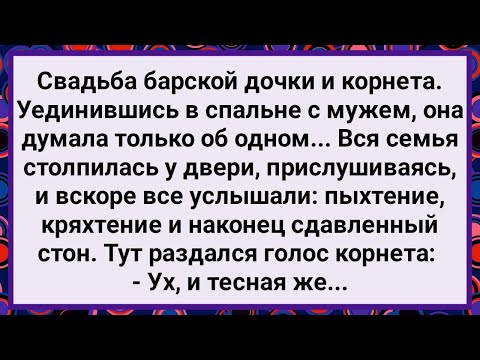Видео: Как Барыня и Корнет Первую Брачную Ночь Провели! Большой Сборник Свежих Смешных Анекдотов!