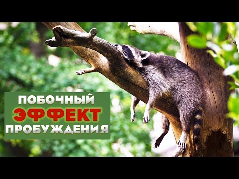 Видео: Безразличие? Нет, это - пробуждение! Саламат Сарсекенов.