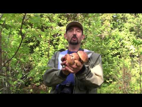 Видео: Один на реке. Cезон 1. По Онежскому озеру. Часть 3