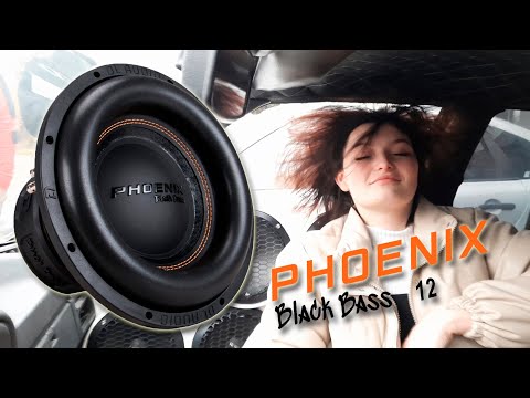 Видео: На что СПОСОБНА ОДНА ДВЕНАШКА Black Bass DL Audio!?