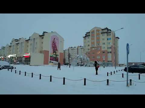 Видео: путешествие в Новый Уренгой