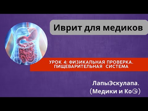 Видео: Урок 4. Медицинский иврит. Физикальная проверка. Пациент с проблемой ЖКТ