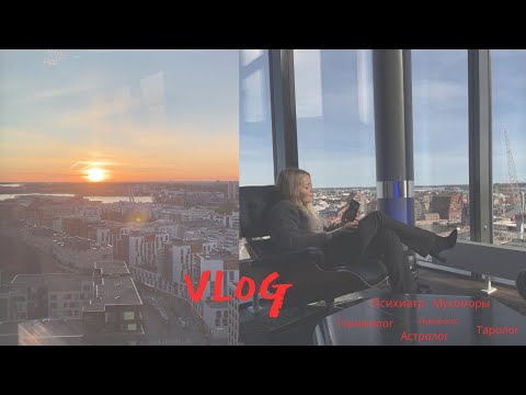Видео: Что я поняла за пол года одиночества!