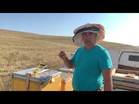 Видео: Крепление ульев на прицепе.