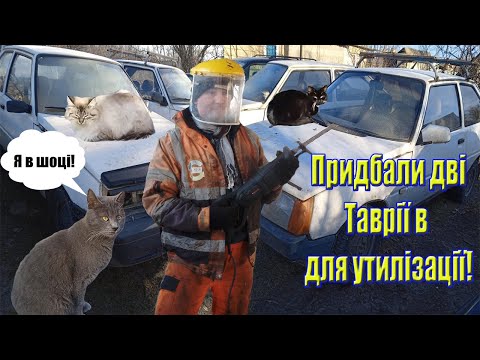 Видео: Таврія за 6500грн. та Таврія за 5500 грн. Перші авто під утилізацію в 2023 році та новий інструмент.