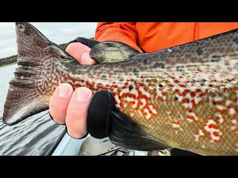 Видео: Золото реки Поной 2025 г.