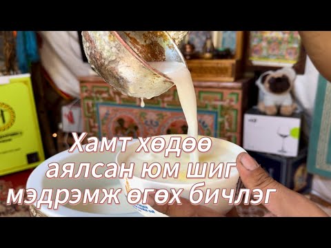 Видео: ГАДААДАД БАЙГАА МОНГОЛЧУУДАД ЗОРИУЛАВ🩷🌿☀️