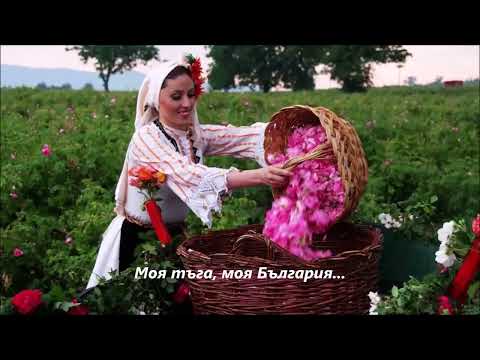 Видео: Емил Димитров - Моя страна