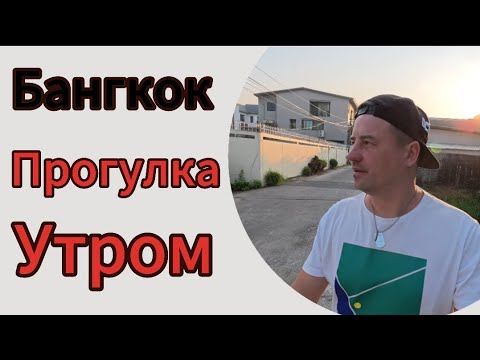 Видео: 20 февраля 2025 г.