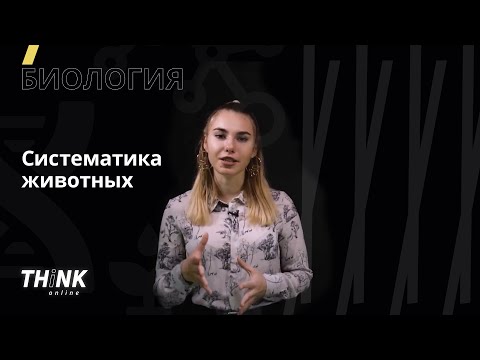 Видео: Систематика животных | Биология