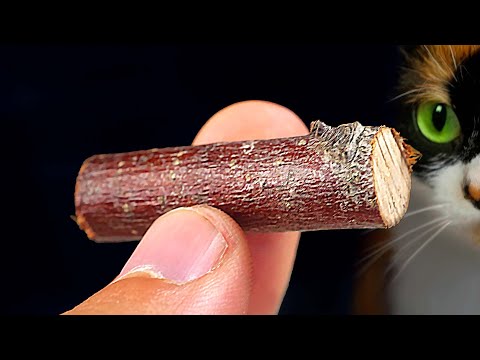 Видео: ВОТ ЧТО МЫ КУПИЛИ НА ALIEXPRESS