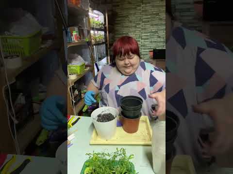 Видео: Начало сезона 2025