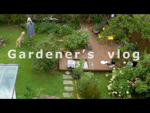 Видео: #50 Это означает, что у меня есть небольшой сад,изменения, которые сделал маленький сад в моей жизни