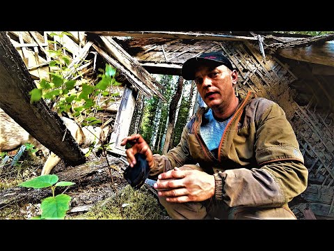 Видео: ТАКОЕ Я ВИЖУ ВПЕРВЫЕ! ТАЙГА. ЗАБРОШЕННАЯ ЗОНА! СТРАШНОЕ - ЖУТКОЕ МЕСТО!