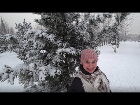 Видео: КРАСНОЯРСК. КАФЕ У ОЗЕРА. Вот это погуляла!