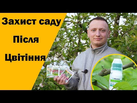 Видео: Обробка саду після цвітіння. Хвороби і шкідники яблуні, черешні, персика. Міравіс - від усіх хвороб