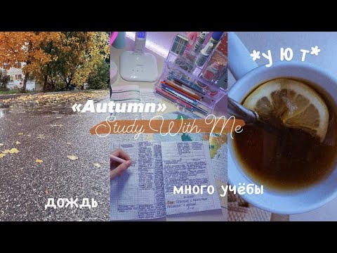 Видео: ОСЕННИЙ Учись Со Мной №8 | Подготовка к контрольным работам | Autumn Study With Me | Мотивация