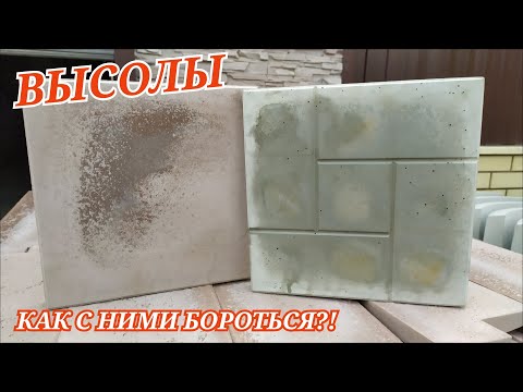 Видео: Высолы на тротуарной плитке | Часть 1