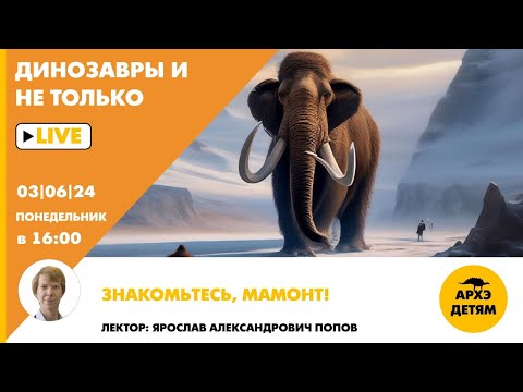 Видео: Занятие "Знакомьтесь, мамонт!" кружка "Динозавры и не только" с Ярославом Поповым