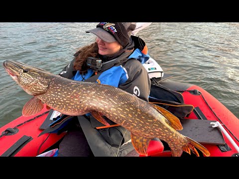 Видео: ТОННЫ ЩУК В МАЛОЙ РЕКЕ! НЕ могу ПОДНЯТЬ ТРОФЕЙ! Рыбалка на спиннинг.