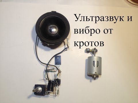 Видео: Ультразвуковой отпугиватель кротов. Как избавиться от кротов вибромоторчиком