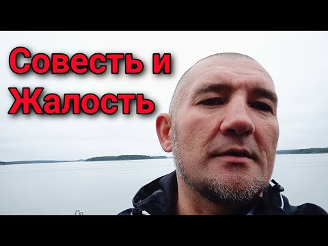 Видео: Насколько востребована у мужчин твоя бывшая 
