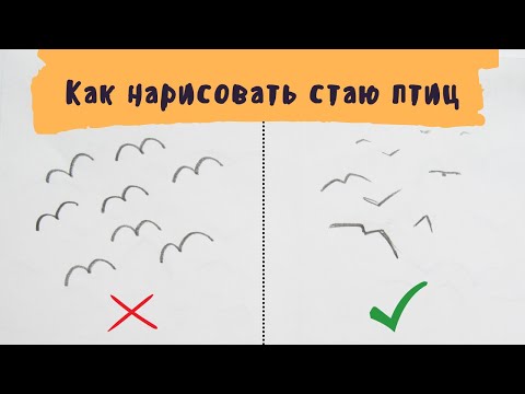 Видео: Как нарисовать стаю птиц