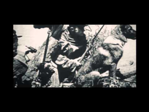 Видео: Наташа Дольче - Пограничное танго