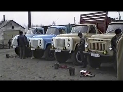 Видео: Тех. осмотр в колхозе им. Ленина апрель1990г.