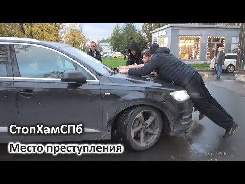 Видео: СтопХамСПб - Место преступления