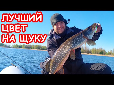 Видео: ЛУЧШИЙ ЦВЕТ НА ЩУКУ. ПРИМАНКИ НА ЩУКУ. РЫБАЛКА НА СПИННИНГ