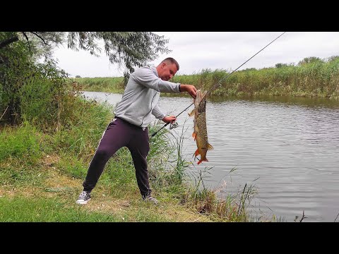 Видео: ЭТУ РЫБАЛКУ ДОЛГО НЕ ЗАБУДУ. Ловля хищника на речке.