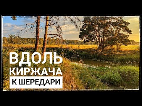 Видео: 🚲 ПВД. ст. Усад - р. Киржач - р. Шередарь | Владимирская обл. 🚲 27.07.2024