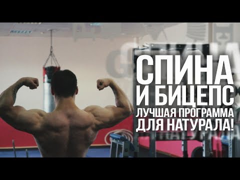 Видео: Спина и бицепс. Лучшая программа для натурала!