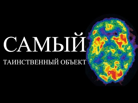 Видео: Видео, которое Вас оскорбит | ALI