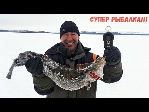 Видео: Юбилей на рыбалке на далеком о. Орон