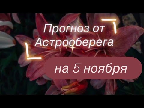 Видео: Лера Астрооберег делает прогноз на 5 ноября. Смотрите сейчас! Главные. енергии дня! 