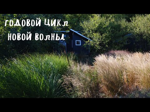 Видео: годовой цикл новой волны