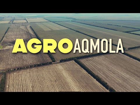 Видео: Что посеяли в Акмолинской области в сезоне 2025 года