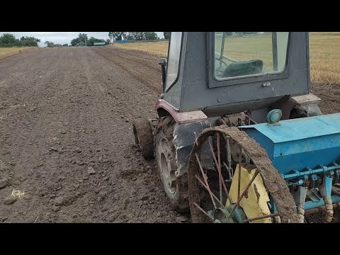 Видео: посів пшениці,замір висіву кінської сівалки