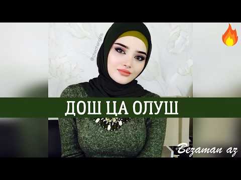 Видео: Зарема Ирзаханова Дош Ца Олуш🙀💕